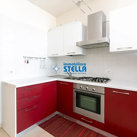 Mimose 에라클레아 마레