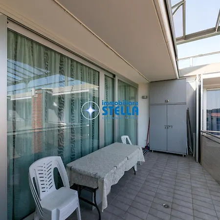 Mimose * ארקליאה מארה